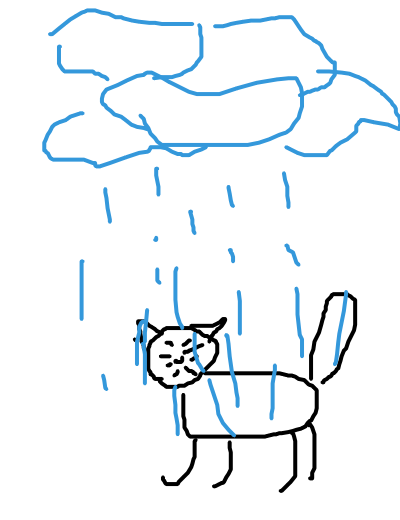 сырой кот под дождём